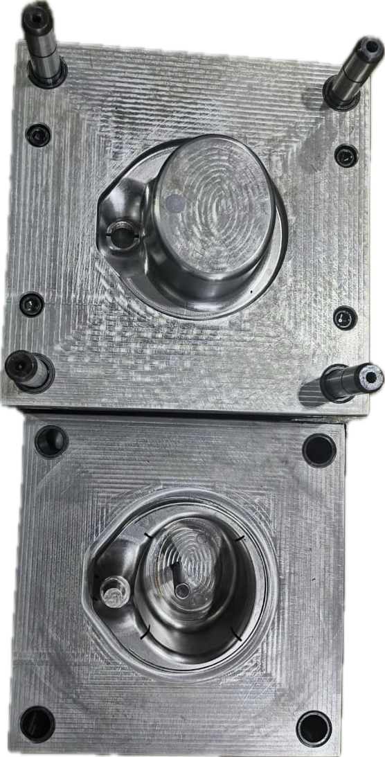 Mould Repair Service